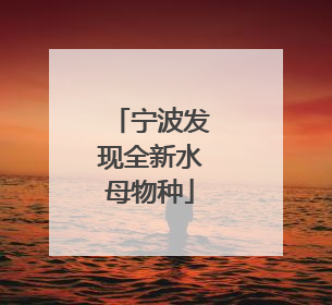 宁波发现全新水母物种