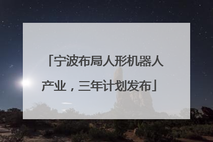 宁波布局人形机器人产业，三年计划发布