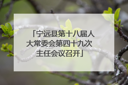 宁远县第十八届人大常委会第四十九次主任会议召开