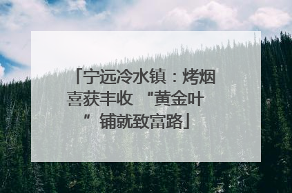 宁远冷水镇：烤烟喜获丰收 “黄金叶”铺就致富路