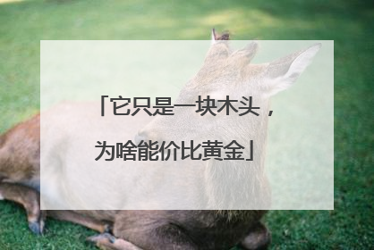 它只是一块木头，为啥能价比黄金