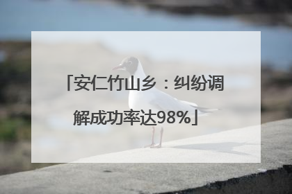 安仁竹山乡：纠纷调解成功率达98%