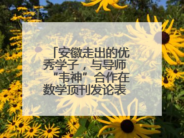 安徽走出的优秀学子，与导师“韦神”合作在数学顶刊发论表重要科研成果
