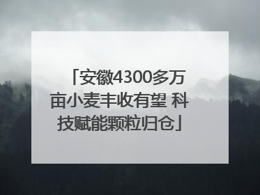 安徽4300多万亩小麦丰收有望 科技赋能颗粒归仓