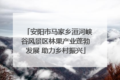 安阳市马家乡洹河峡谷风景区林果产业蓬勃发展 助力乡村振兴