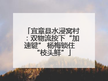 宜章县水浸窝村：双物流按下“加速键” 杨梅锁住“枝头鲜”