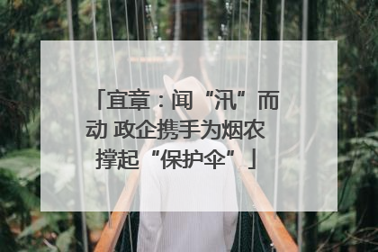 宜章：闻“汛”而动 政企携手为烟农撑起“保护伞”