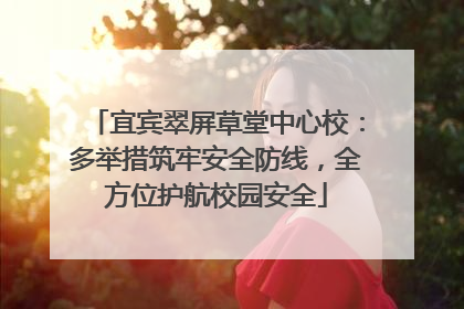 宜宾翠屏草堂中心校：多举措筑牢安全防线，全方位护航校园安全