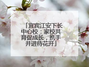 宜宾江安下长中心校：家校共育促成长，携手并进待花开