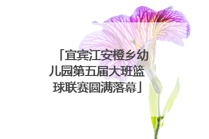 宜宾江安橙乡幼儿园第五届大班篮球联赛圆满落幕