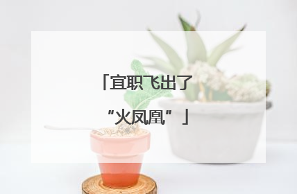 宜职飞出了“火凤凰”
