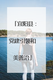 宜阳县：党建引领和美善治