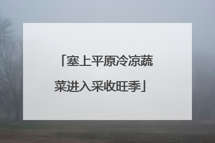 塞上平原冷凉蔬菜进入采收旺季