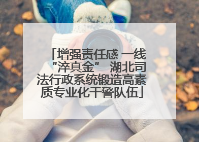 增强责任感 一线“淬真金” 湖北司法行政系统锻造高素质专业化干警队伍