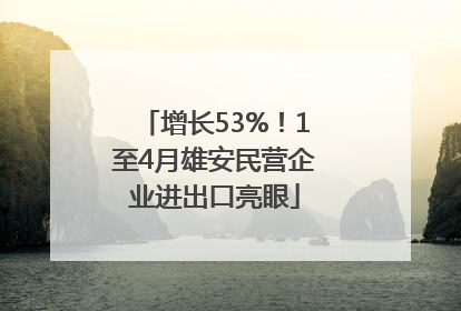 增长53%！1至4月雄安民营企业进出口亮眼