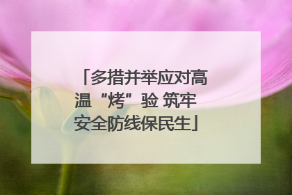多措并举应对高温“烤”验 筑牢安全防线保民生