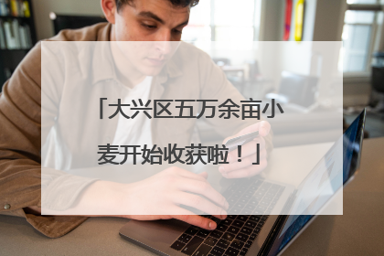 大兴区五万余亩小麦开始收获啦！