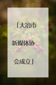 大冶市新媒体协会成立