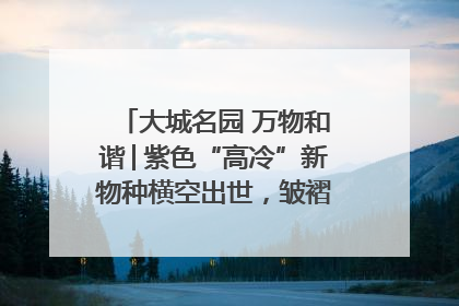 大城名园 万物和谐│紫色“高冷”新物种横空出世，皱褶叶片暗藏进化密码