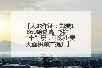 大地作证：郑麦1860绘就高“烤”“丰”景，引领小麦大面积单产提升