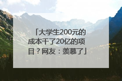 大学生200元的成本干了20亿的项目？网友：羡慕了