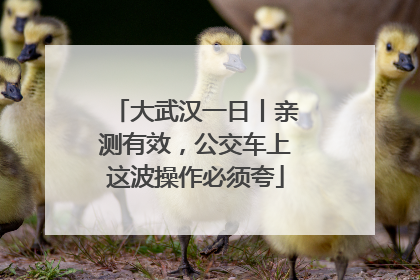 大武汉一日丨亲测有效，公交车上这波操作必须夸