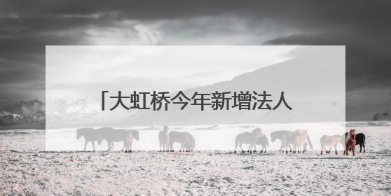 大虹桥今年新增法人企业数同比增20.6%！“走进虹桥 走进进博”活动举办