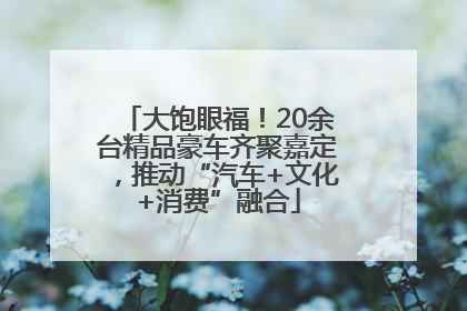 大饱眼福！20余台精品豪车齐聚嘉定，推动“汽车+文化+消费”融合