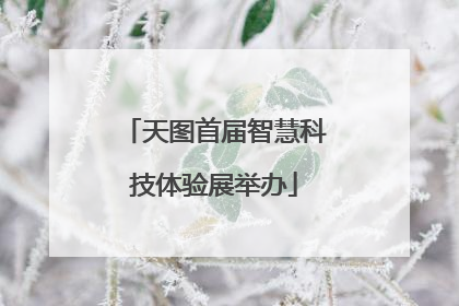 天图首届智慧科技体验展举办