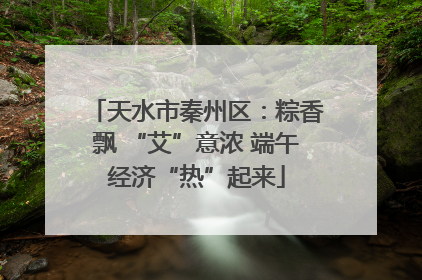 天水市秦州区：粽香飘 “艾”意浓 端午经济“热”起来