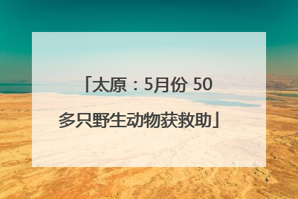 太原：5月份 50多只野生动物获救助