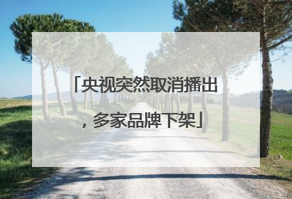 央视突然取消播出，多家品牌下架