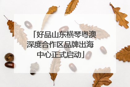 好品山东横琴粤澳深度合作区品牌出海中心正式启动