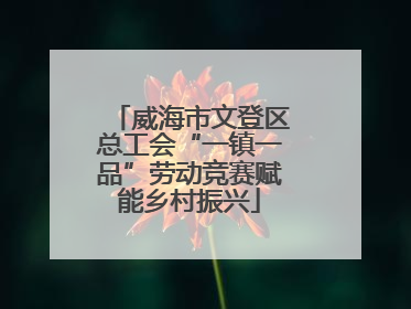 威海市文登区总工会“一镇一品”劳动竞赛赋能乡村振兴