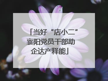 当好“店小二” 襄阳党员干部助企达产释能