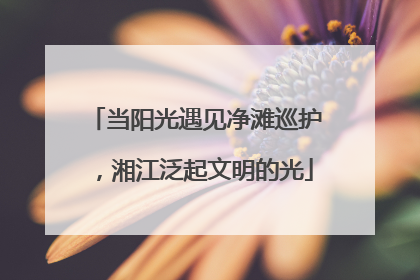 当阳光遇见净滩巡护，湘江泛起文明的光