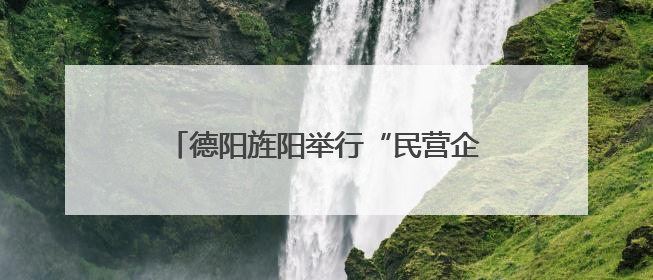 德阳旌阳举行“民营企业服务月”专场招聘会