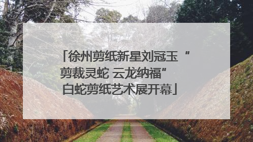 徐州剪纸新星刘冠玉“剪裁灵蛇 云龙纳福” 白蛇剪纸艺术展开幕