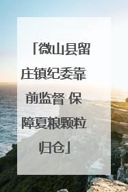 微山县留庄镇纪委靠前监督 保障夏粮颗粒归仓