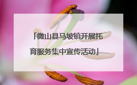 微山县马坡镇开展托育服务集中宣传活动