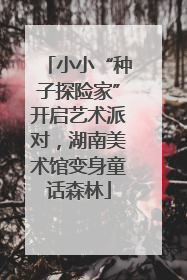 小小“种子探险家”开启艺术派对，湖南美术馆变身童话森林