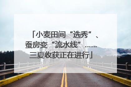 小麦田间“选秀”、蚕房变“流水线”……三夏收获正在进行