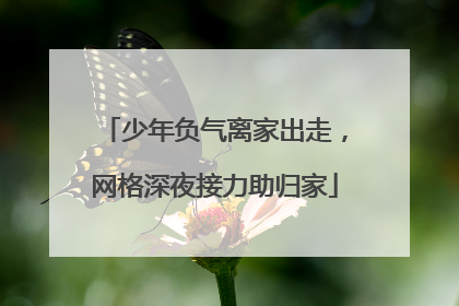 少年负气离家出走，网格深夜接力助归家
