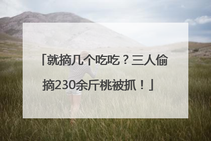就摘几个吃吃？三人偷摘230余斤桃被抓！