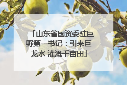 山东省国资委驻巨野第一书记：引来巨龙水 灌溉千亩田