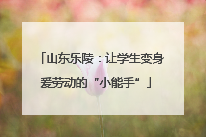 山东乐陵：让学生变身爱劳动的“小能手”