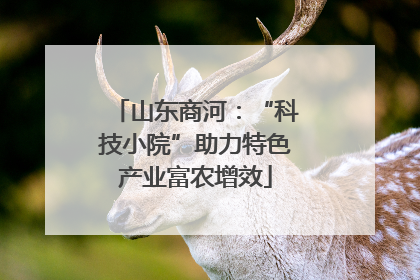 山东商河：“科技小院”助力特色产业富农增效