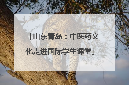山东青岛：中医药文化走进国际学生课堂