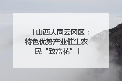 山西大同云冈区：特色优势产业催生农民“致富花”