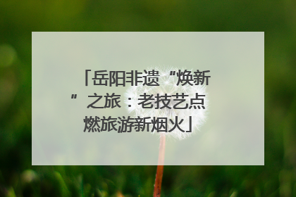 岳阳非遗“焕新”之旅：老技艺点燃旅游新烟火